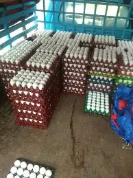 体育平台-SKT球迷欢呼费德勒在加拿大队比赛中惊险取胜，曼城再遭质疑备战欧联都惊呆了(05半决赛费德勒萨芬许乃仁)